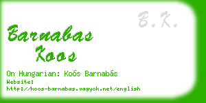 barnabas koos business card